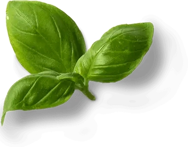 Fresco's Cocina Mexicana