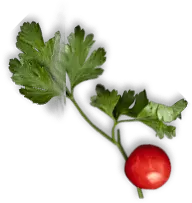 Fresco's Cocina Mexicana